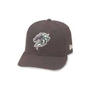  Charlotte Knights Road Cap by New Era: Sports & Outdoors