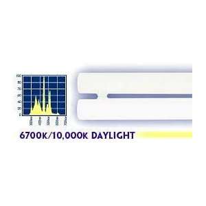  18 Watt Sunpaq Dual Daylight 6,700k/10,000k Bulb 