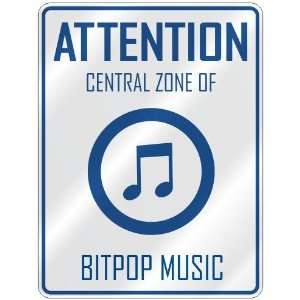    CENTRAL ZONE OF BITPOP  PARKING SIGN MUSIC: Home Improvement