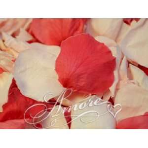  1 lb Wedding Freeze Dried Rose Petals Victorias Pink 2000 