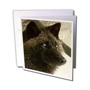  Wild animals   Tundra Wolf   Greeting Cards 12 Greeting 