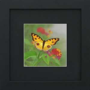   Silk Embroidery   Yellow Butterfly on a Flower   Regular Size 13025