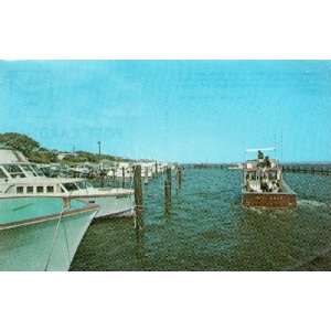 Post Card: Deep Sea Fishing Boat (Gulf of Mexico), Pensacola/Ft 