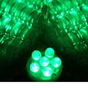  194 6 LED 2 Bulb Set  Color: Green: Automotive