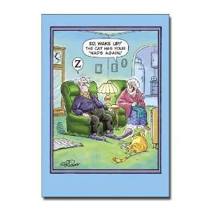 Cat Has Nads   Risque Cartoon Birthday Greeting Card 