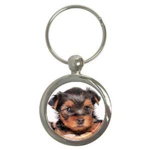  Yorkshire Terrier Puppy Dog 8 Round Key Chain AA0655 