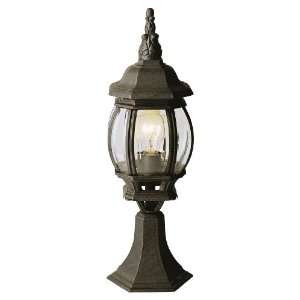  Trans Globe Lighting 4070 SWI pendant lantern: Home 