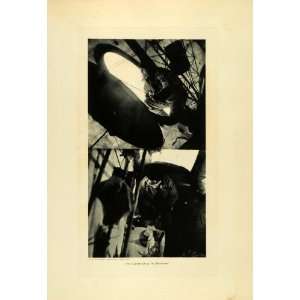  1929 Photogravure Roald Amundsen Airship Norge Pacific Sea 