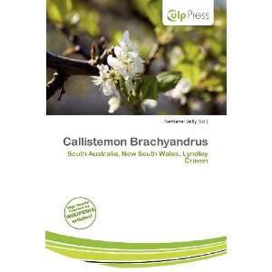    Callistemon Brachyandrus (9786138419471) Nethanel Willy Books