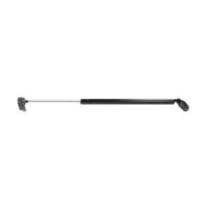  Strong Arm 4918 Hatch Lift Support: Automotive