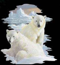 Alaskan Brothers Polar Bears  Wild Animal   Sweatshirt  