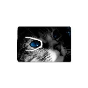  Blue eyed kitten Bookmark Great Unique Gift Idea 