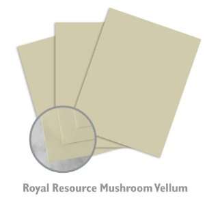  Royal Resource Mushroom Paper   250/Package Office 
