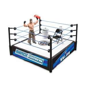  WWE Ring and Action Figure Pack   Rey Mysterio: Toys 