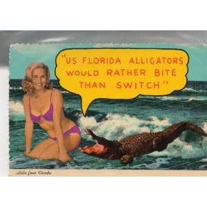 Post Card: US FLORIDA ALLIGATORS WOUD RATHER BITE THAN SWITCH, Hello 
