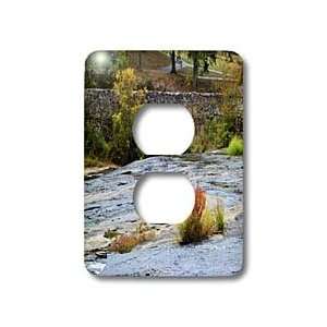 WhiteOak Photography Nature Scenes   Autumn in a Park   Light Switch 