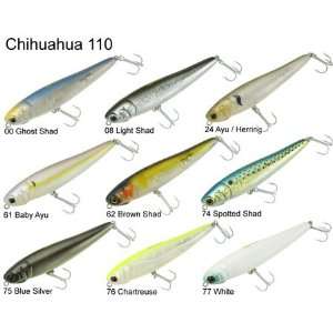  Chihuahua 110 Topwater Pencil Lure: Sports & Outdoors