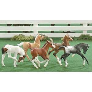  Breyer Stablemates 5 pc. Foal Collection: Toys & Games