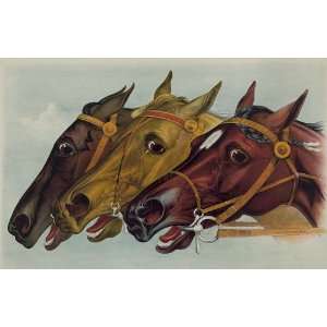   Horse Racing and Trotting Neck and Neck To The Wire Vintage Image