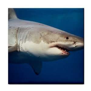    Shark Ceramic Tile Coaster Great Gift Idea: Office Products