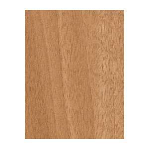 Wilsonart Laminate 4 x 8  Brazilwood