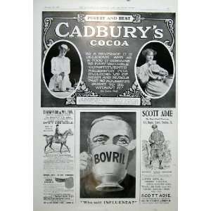  Cadburys Cocoa Builds Brain & Muscle 1904 Advert: Home 
