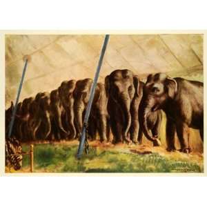  1936 Print Circus Tent Wild Animals Elephants Zebra John 