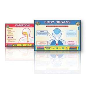  Body Organ Interactive Whiteboards Set: Toys & Games