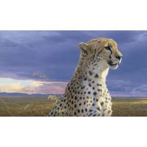 Daniel Smith   African Tempest   Cheetah Artists Proof:  