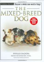 Shop Dogs and Puppies Central   The Mixed Breed Dog (Terra Nova)