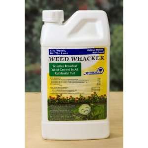  Weed Whacker: Patio, Lawn & Garden