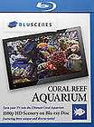 Turn your TV into a 1080p Aquarium Tank