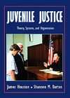 Juvenile Justice Theory, Systems, and Organization by Shannon M 
