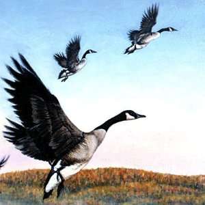 CANADIAN GEESE Waterfowl Goose GIANT 5.5 Inch art decor REFRIDGERATOR 