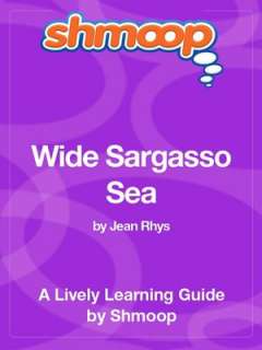   Wide Sargasso Sea (SparkNotes Literature Guide Series 