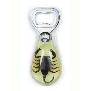 Real Insect Bottle Opener Black Scorpion (Big & Glows)