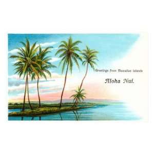   from the Hawaiian Islands, Aloha Nui Premium Poster Print, 18x12
