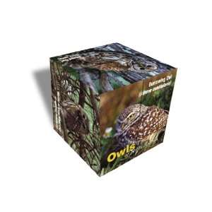   Cube Owls North America w/ Multiple Images, Great  Everything Else