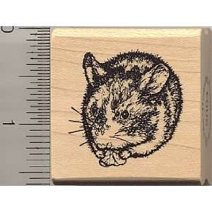 Small Dwarf Hamster Rubber Stamp Arts, Crafts & Sewing