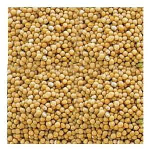 El Guapo Mustard Seed Yellow   Mexican Spice, 0.5 Oz  