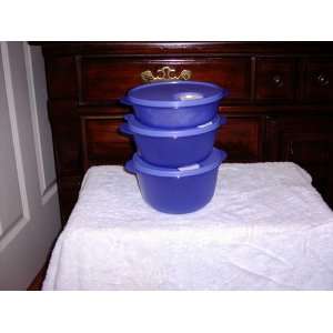    Tupperware Crystalwave 3 Pc Set Lupine New Color