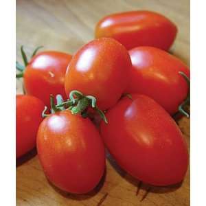  Tomato, Viva Italia Hybrid 1 Pkt. (30 seeds): Patio, Lawn 
