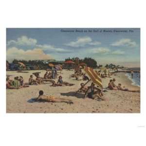 Clearwater, FL   Sunbathers on Clearwater Beach Giclee Poster Print 