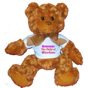   The Study of Marissa Plush Teddy Bear with BLUE T Shirt: Toys & Games