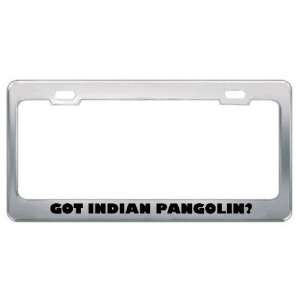 Got Indian Pangolin? Animals Pets Metal License Plate Frame Holder 
