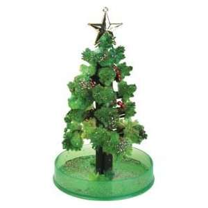    MAGIC CHRISTMAS TREE  Watch it Grow in 24 Hours Toys & Games