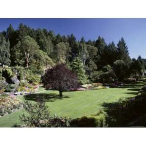 Butchart Gardens, Victoria, British Columbia, Canada Photographic 