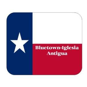  US State Flag   Bluetown Iglesia Antigua, Texas (TX) Mouse 