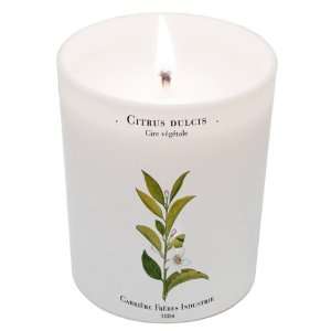   (Orange Blossom) Candle 6.7oz candle by Carriere Freres Industrie