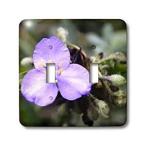   Small Purple flower   Light Switch Covers   double toggle switch Home